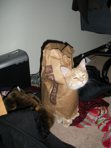 catreviews