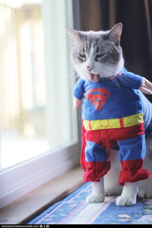 cattire